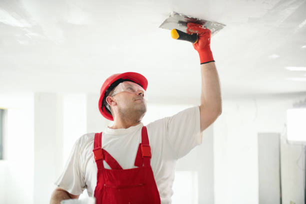 Trusted Lauderdale Lakes, FL Dry wall and painting Experts